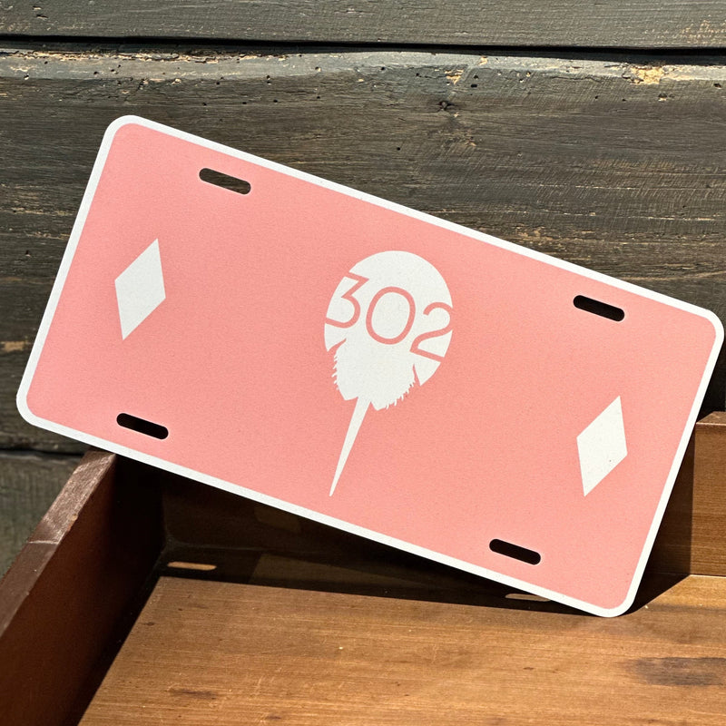 2023 Delaware Breast Cancer Coalition Collab items